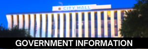 Government Information: Local, County, State, and National