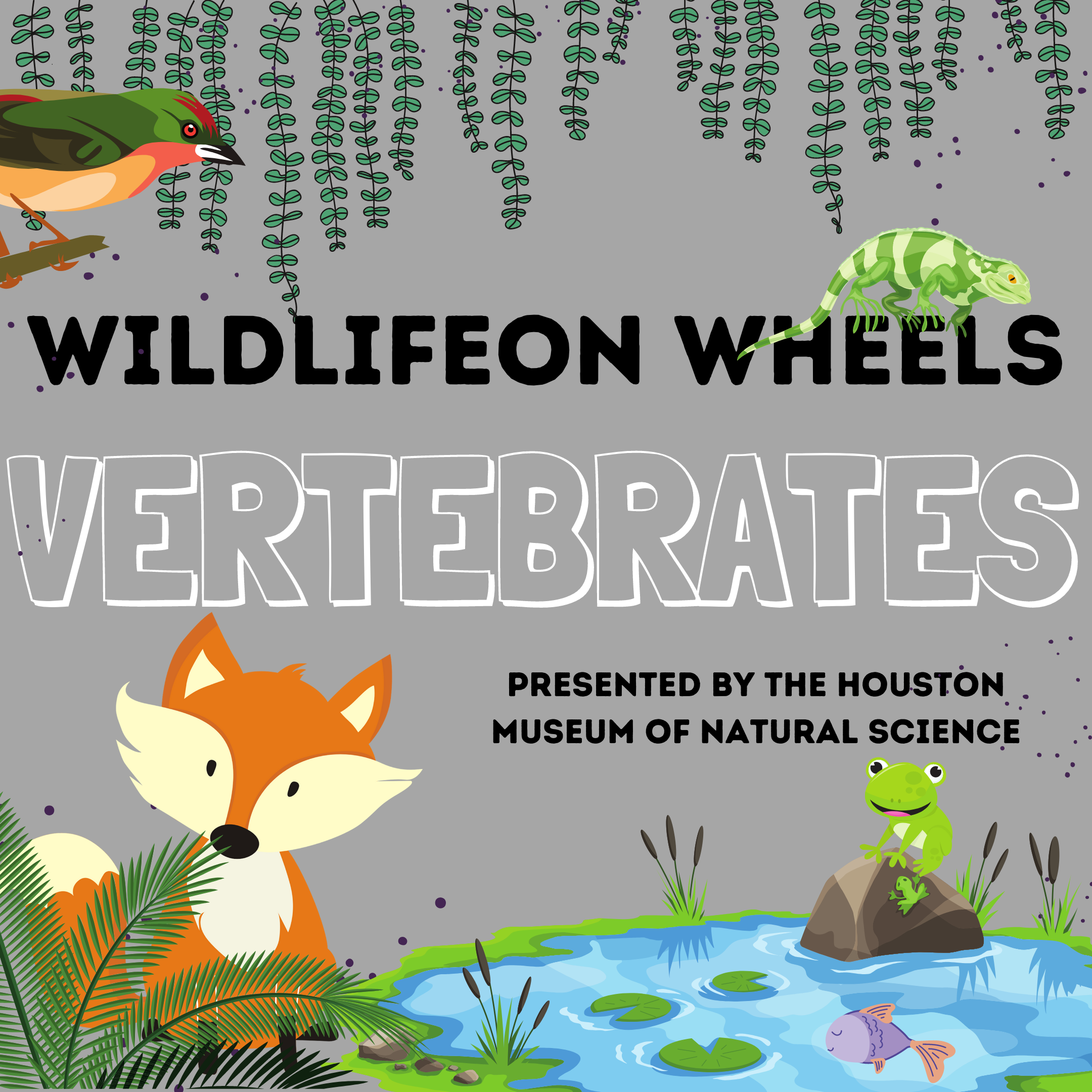 Don't miss Virtual Wildlife on Wheels: Vertebrates presented by, the Houston Museum of Natural Science!