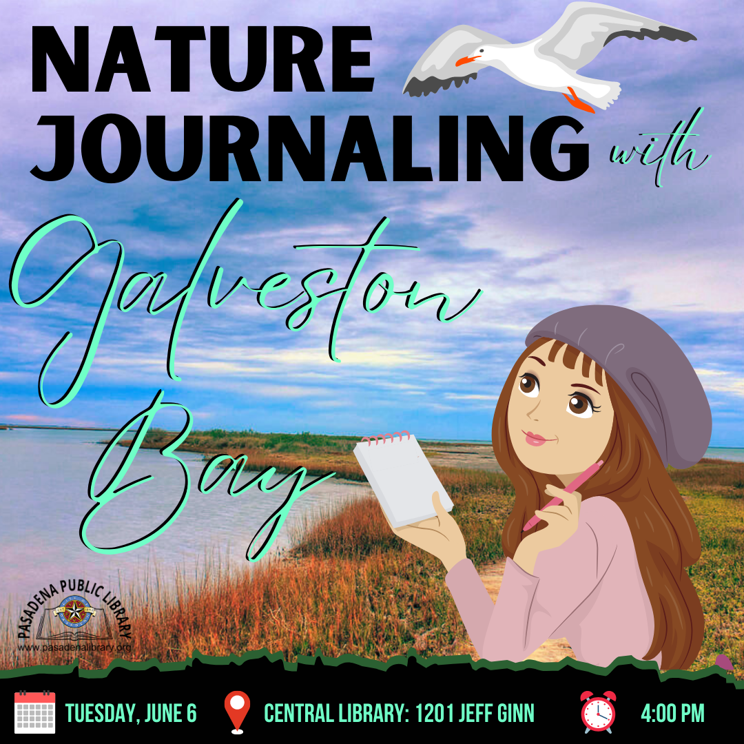 Nature Journaling with Galveston Bay