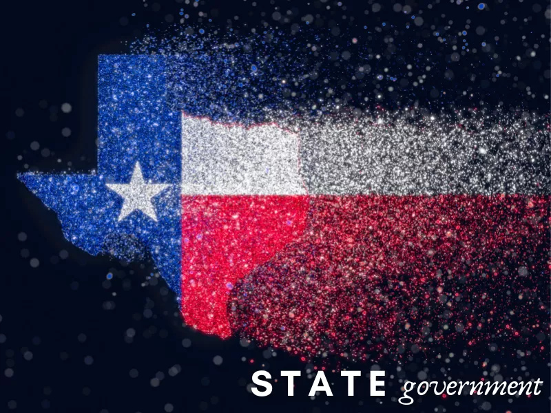 State Government Information