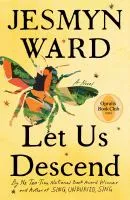 Let us descend : a novel cover