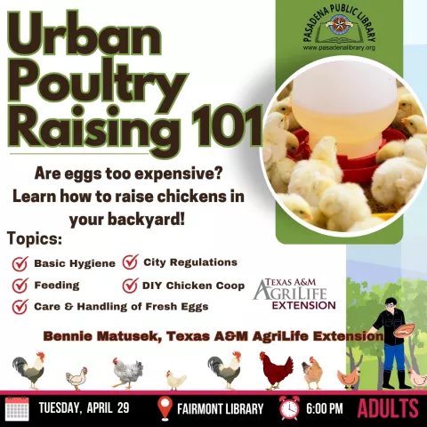 FAIRMONT: Urban Poultry Raising