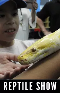 Zoofari: Reptile Show