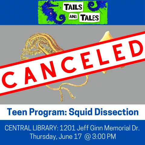 Squid Dissection (Canceled)