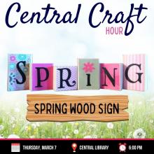 MARCH 7_ ADULT CRAFT HOUR